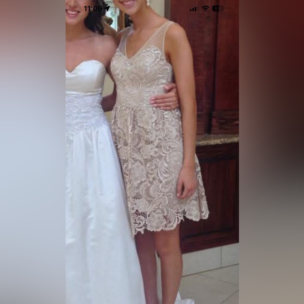 Adrianna Papell Champagne Lace Dress